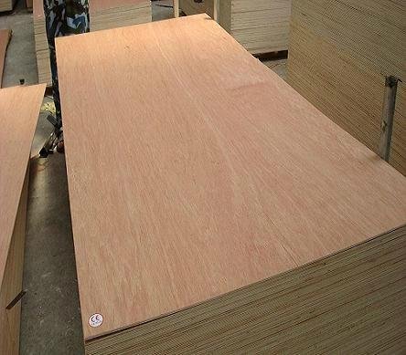 high quality bintangor plywood