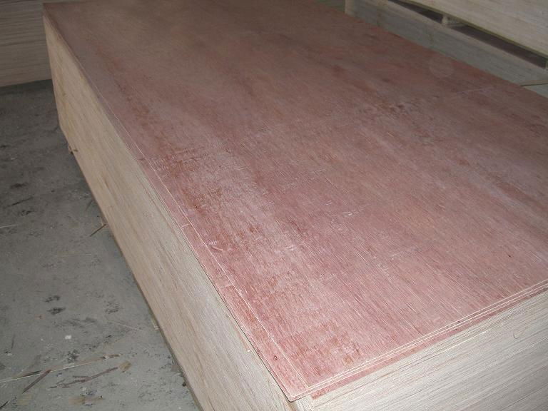 high quality bintangor plywood 2