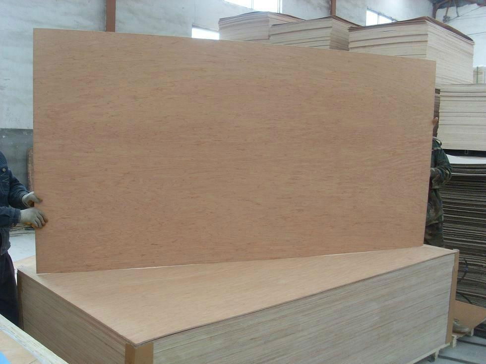 high quality bintangor plywood 3