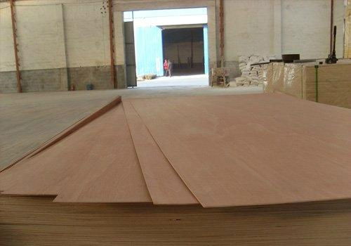 high quality bintangor plywood 4