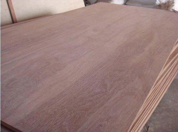 keruing  plywood for furniture