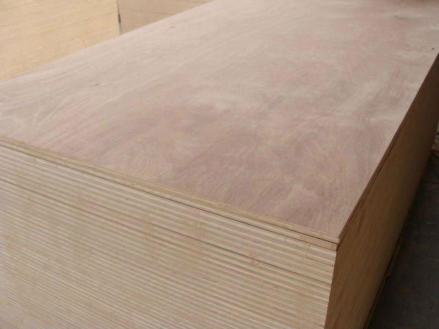 keruing  plywood for furniture 2
