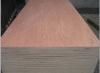 Red Meranti veneer plywood