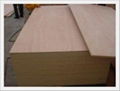 Red Meranti veneer plywood 2