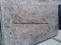 Zeus Gold Granite Slab Stone Slab 4