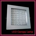 LED canopy lamp  3
