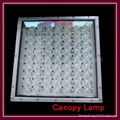 LED canopy lamp  4