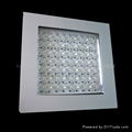 LED canopy lamp  5