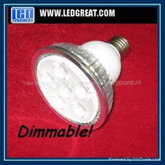 Dimmable LED PAR light PAR20 PAR30 PAR38