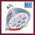 Dimmable LED PAR light PAR20 PAR30 PAR38 3