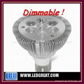 Dimmable LED PAR light PAR20 PAR30 PAR38 4