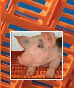 Plastic floor for Pig or Goat farm