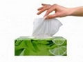 Facial Tissue