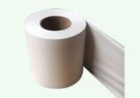 Toilet Paper Roll