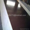 Brown Film Coated Plywood 3