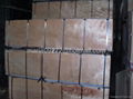 Brown Film Coated Plywood 5