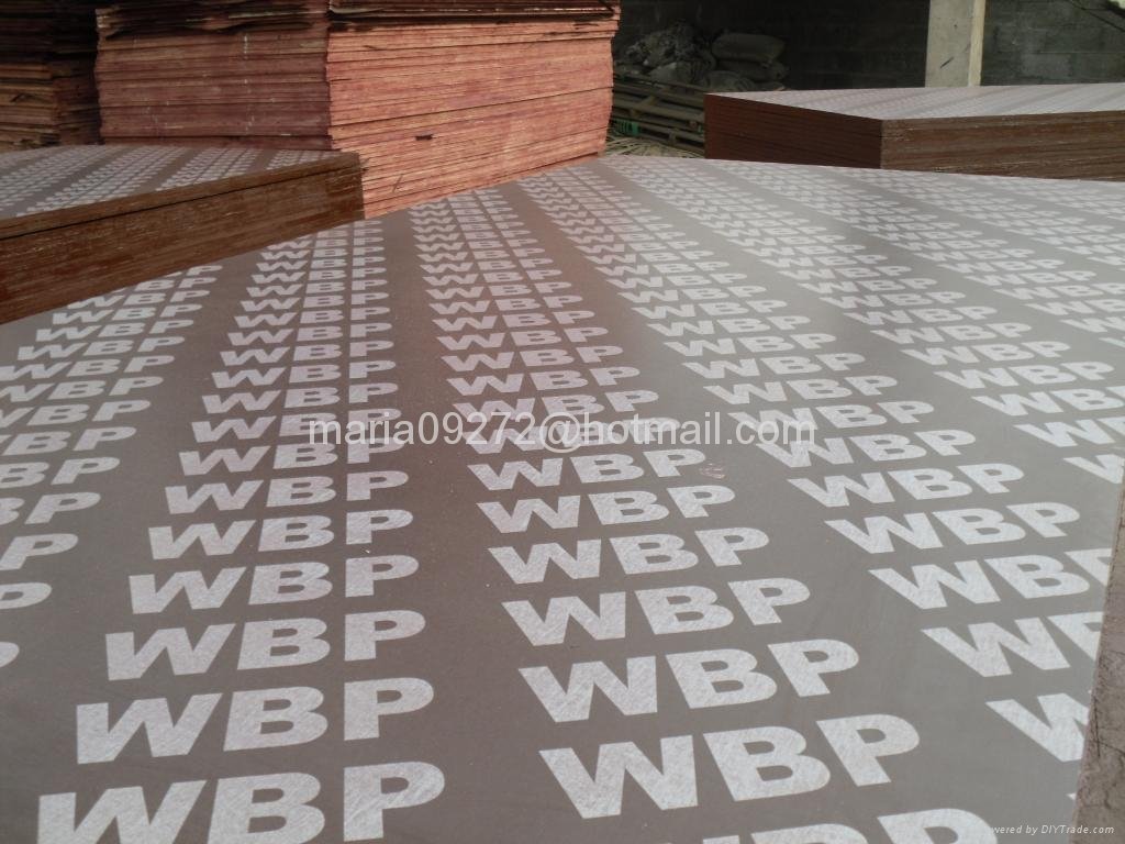 Brown Film Coated Plywood with Printed Words 3
