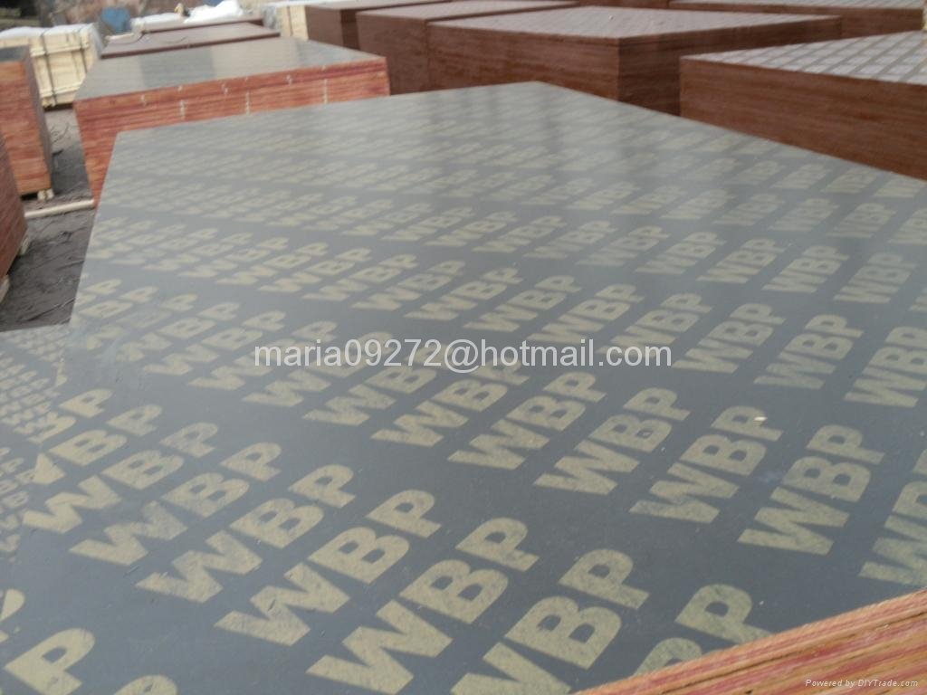 Brown Film Coated Plywood with Printed Words 4