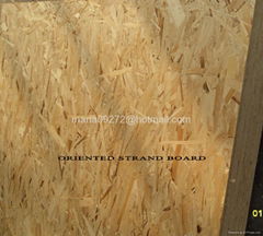 OSB (Oriented Strand Board)