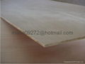 Commercial Plywood 1