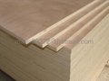 Commercial Plywood 2