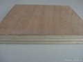 Commercial Plywood 3