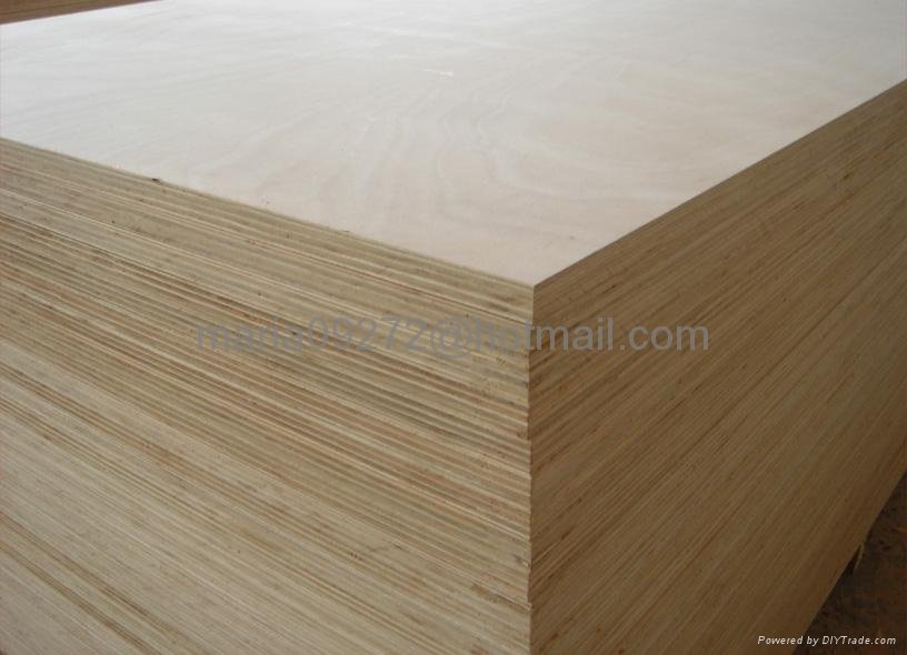 Commercial Plywood 4