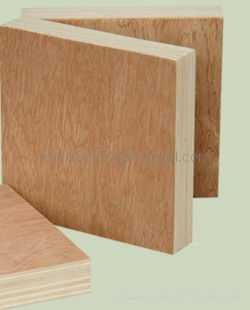 Bintangor Plywood 5