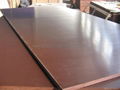 Brown Film Coated Plywood