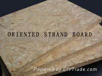 OSB (Oriented Strand Board) 2