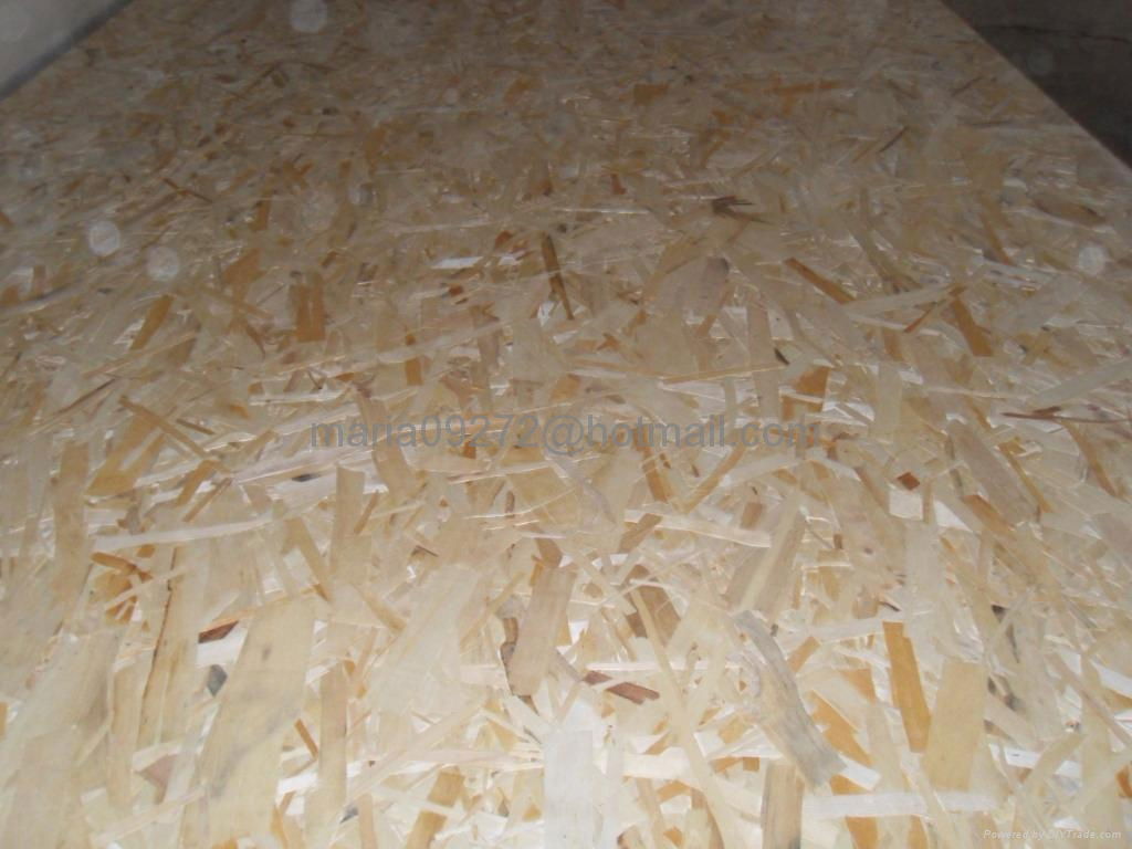 OSB (Oriented Strand Board) 4