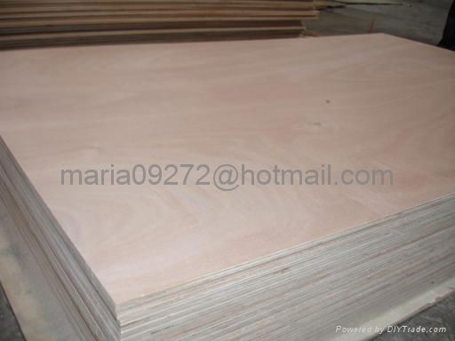 Okoume Plywood