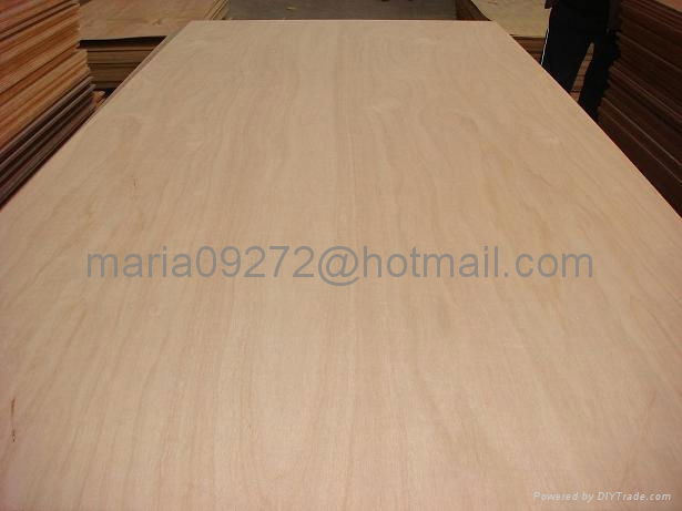 Okoume Plywood 4