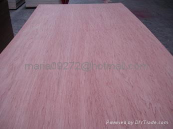 Okoume Plywood 5