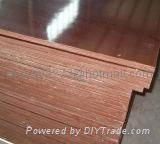 Brown Film Faced Plywood 2