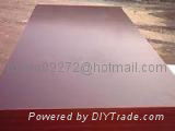 Brown Film Faced Plywood