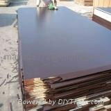 Brown Film Faced Plywood 2