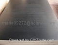 Black Shuttering Film Faced Plywood