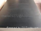 Black Shuttering Film Faced Plywood