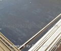 Black Shuttering Film Faced Plywood 3