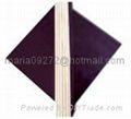 Black Shuttering Film Faced Plywood 4