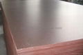 Anti-slip Brown Film Faced Plywood 2