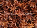 Chinese Star Anise without stem