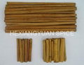 Chinese Cassia/Cinnamon