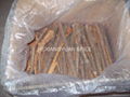 Chinese Cassia/Cinnamon 3