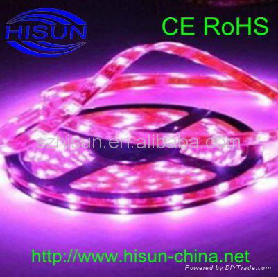 High Quality Christmas New Led strip 4