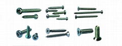 Self tapping screws