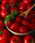 xinjiang tomato paste