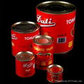 canned tomato paste  2