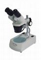 Stereo Microscope